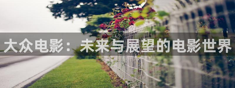 新视觉午夜影院