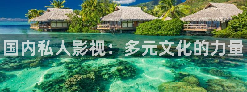 神马手机电影网午夜