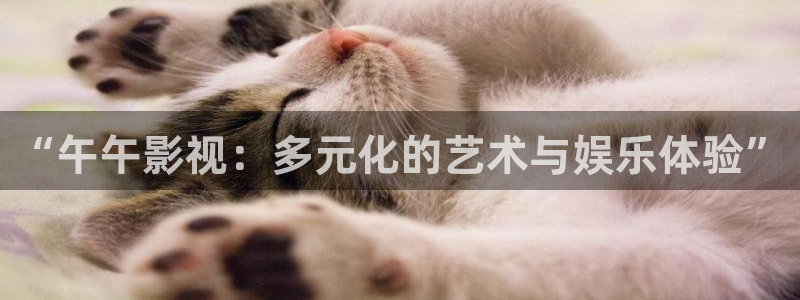 yy6080午夜电影在线观看