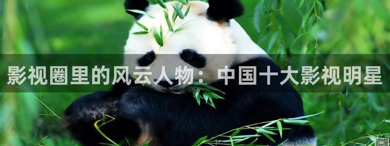 福利影视午夜