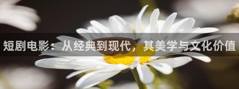 日本电影在线观看午夜