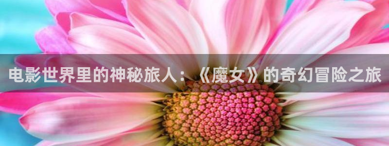久久午夜影院精品