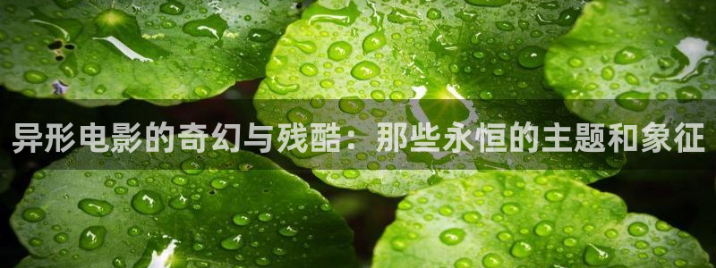 午夜电影18