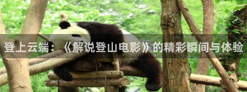 午夜老司机电影
