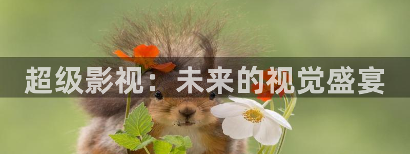 电影午夜废墟