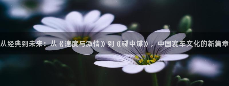 免费午夜在线电影网