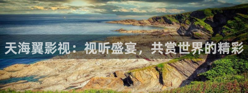 国内午夜影院