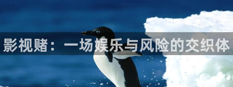 6080新视觉午夜伦理片