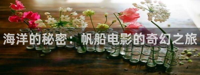 午夜电影在线网站