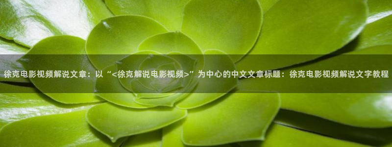 成人影院午夜男人的天堂