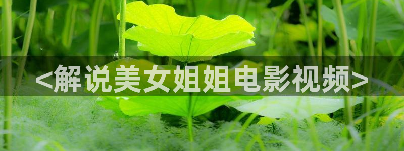 午夜高清大片
