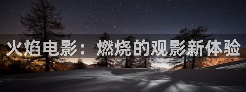午夜电影成人在线观看