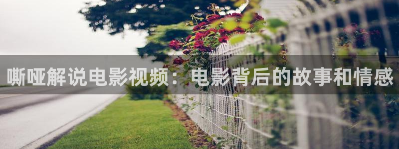 日本午夜电影网址