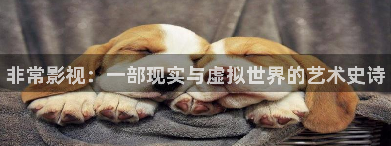 6080新视觉影院午夜剧场