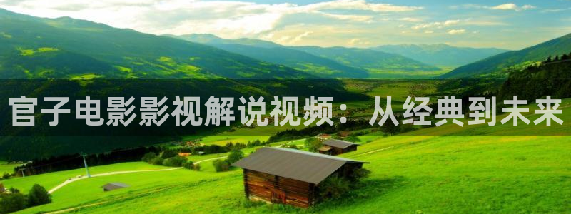 国产一区二区午夜电影