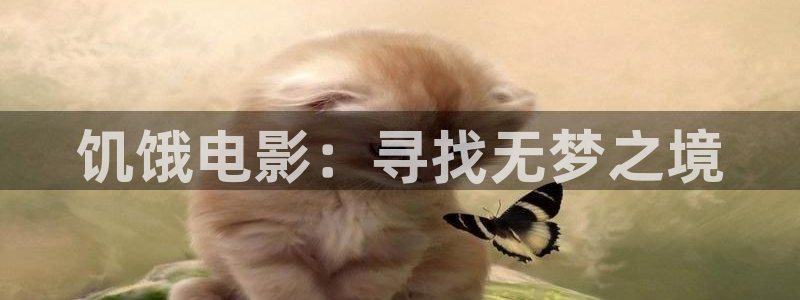 91午夜高清大片