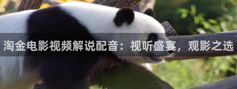 午夜电影网日韩