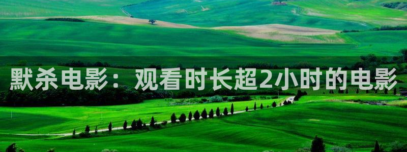 丁香午夜电影