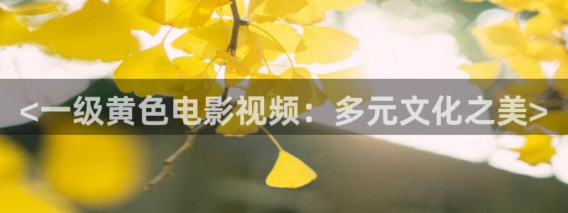 午夜电影网在线观看