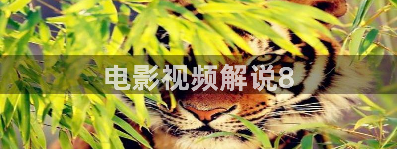 加勒比午夜在线