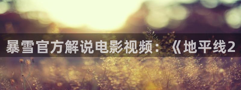 潦草影视午夜