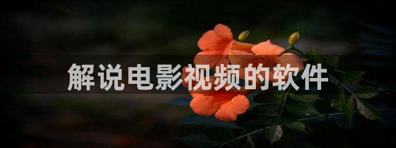 88午夜电影