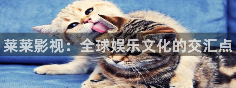 国产亚洲av午夜在线路线：莱莱影视：全球娱乐文化的交汇点