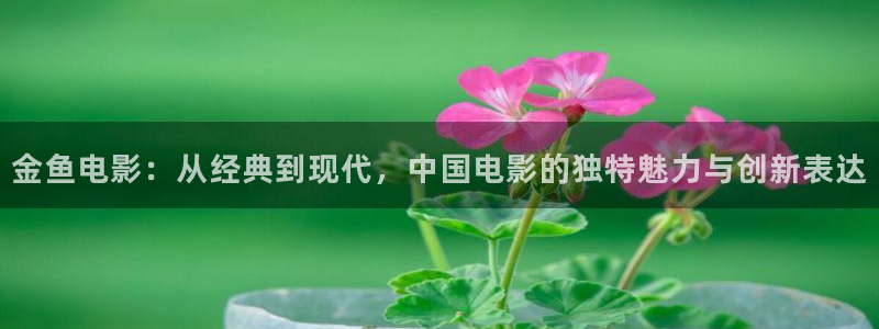 午夜 韩国电影