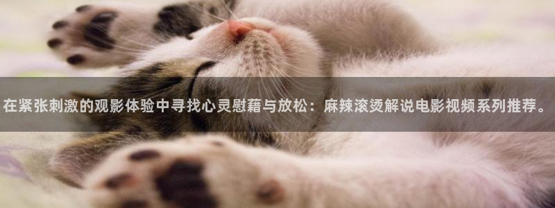 日本午夜免费影院：在紧张刺激的观影体验中寻找心灵慰藉与放松：麻辣滚烫解说电影视频系列推荐。