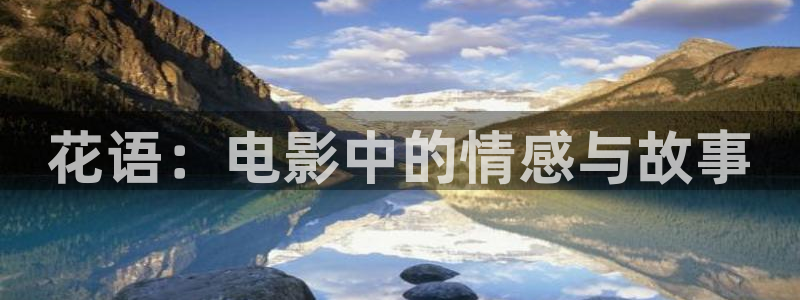 神马午夜影视dy888：花语：电影中的情感与故事