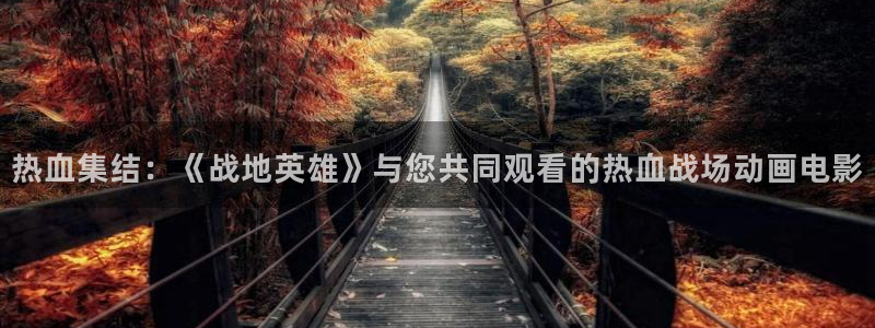 午夜pp电影：热血集结：《战地英雄》与您共同观看的热血战场动画电影