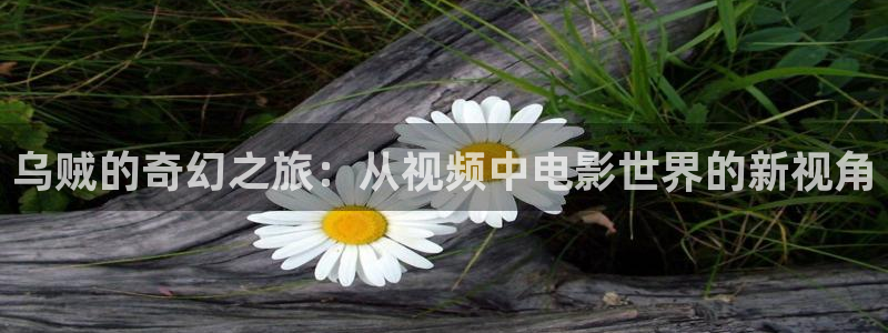 欧美午夜资源在线：乌贼的奇幻之旅：从视频中电影世界的新视角