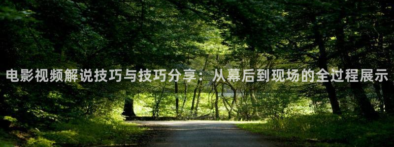 午夜大片黄片：电影视频解说技巧与技巧分享：从幕后到现场的全过程展示