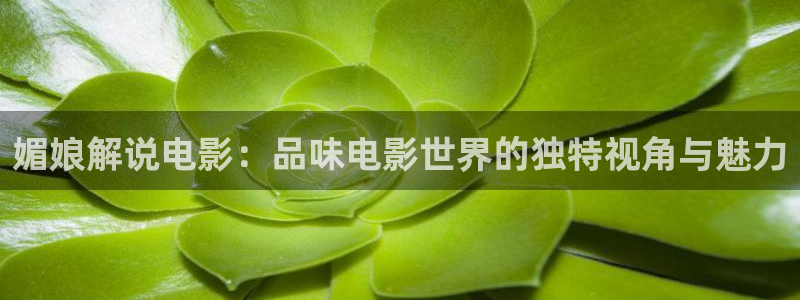 欧美午夜高清二区三区：媚娘解说电影：品味电影世界的独特视角与魅力