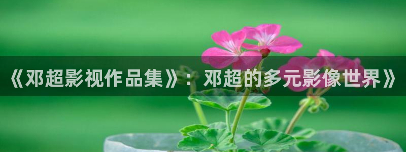 成人午夜电影在线观看视频观看：《邓超影视作品集》：邓超的多元影像世界》