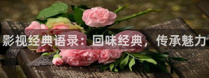 午夜精品网站久久久亚洲精品影院
