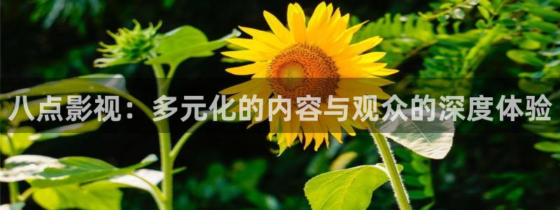 午夜在线看片不卡：八点影视：多元化的内容与观众的深度体验