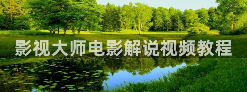 国产午夜精品在线动作：影视大师电影解说视频教程