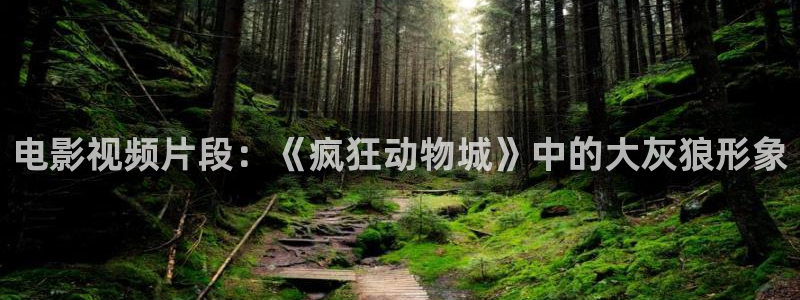 午夜神马不卡影院：电影视频片段：《疯狂动物城》中的大灰狼形象