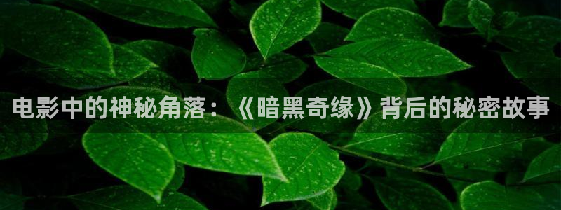 久久影院午夜精品：电影中的神秘角落：《暗黑奇缘》背后的秘密故事