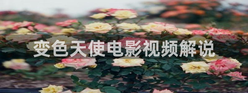 午夜免费大片在线观看