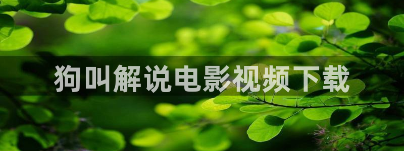 午夜c片