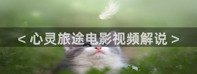 日韩午夜电影