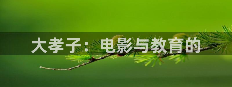 午夜慢车 电影：大孝子：电影与教育的