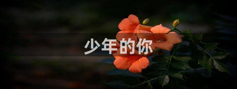 国产精品午夜天堂在线观看：少年的你