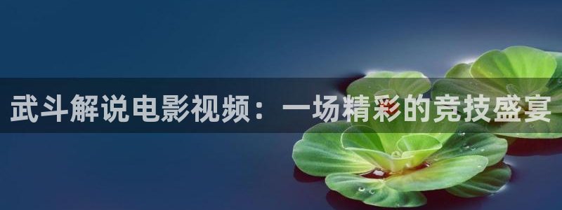 午夜飘花网：武斗解说电影视频：一场精彩的竞技盛宴