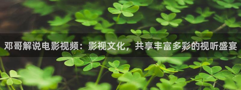 午夜巴黎影片：邓哥解说电影视频：影视文化，共享丰富多彩的视听盛宴