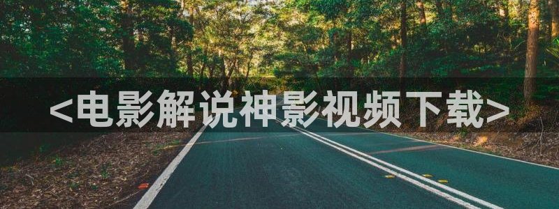 成人午夜在线播放完整视频：<电影解说神影视频下载>