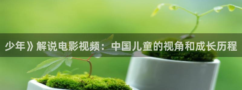 伦理片电影网午夜影院：少年》解说电影视频：中国儿童的视角和成长历程