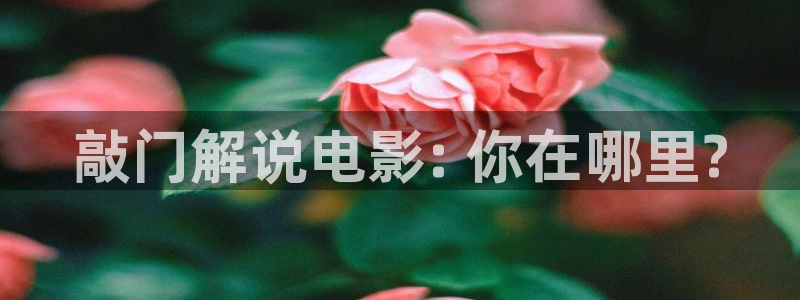 午夜岛国电影：敲门解说电影: 你在哪里?